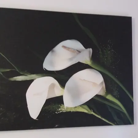 Depandance Macchiavelli 2 Gasthof 4*