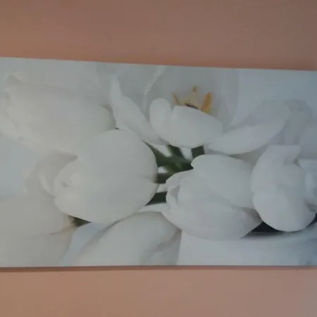 Depandance Macchiavelli 2 4*